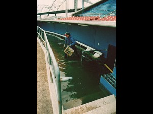 flood1